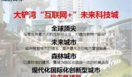 最新爆料强盛集团