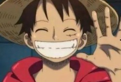 路飞爆料身世视频合集,揭秘海贼王世界的惊天秘密