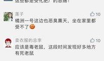 今日关注爆料教程,爆料教程深度解析