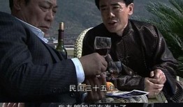 连续剧潜伏在线观看,谍影重重，线上揭秘