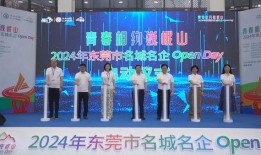 东莞东坑今日爆料新闻视频,突发事件引发关注