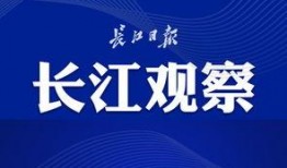 武汉程先生最新爆料,揭秘XX事件背后真相