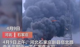东营媒体爆料事件视频曝光,东营媒体曝光事件视频引发热议