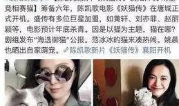 张家宁天涯爆料视频大全,揭秘娱乐圈幕后真相