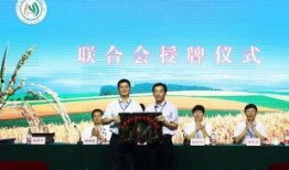 徐州新农人爆料新闻最新,揭秘农村发展新动向