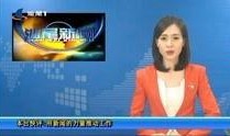 汕尾爆料新闻事件视频,真相揭露，社会关注