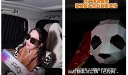 狗仔爆料肖战杨紫视频,狗仔爆料引发网友热议