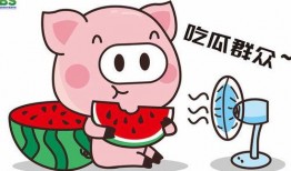 娱乐吃瓜酱英文怎么写,Unveiling the Buzz: A Gossipy Overview of the Entertainment Scene