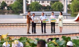 徐州新农人爆料新闻最新,揭秘农村发展新动向