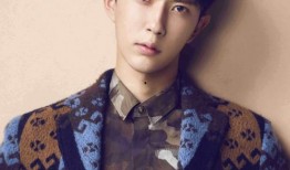 爆料王嘉尔娱乐圈,揭秘明星背后的故事与真相