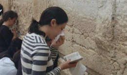 娱乐圈吃瓜君被告,揭秘网络舆论背后的法律风波