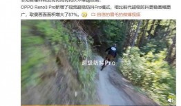 常绿干部爆料视频最新版,揭秘权力背后的真相与挑战