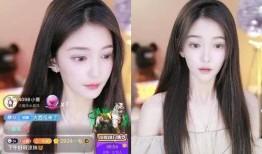 抖音女主播视频外网爆料,揭秘网络直播背后的真相