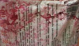 舞帝二哈爆料视频,揭秘娱乐圈幕后真相