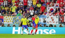 世界杯爆料最新消息,最新赛程、球星动态及神秘事件揭秘