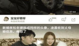 小虎爆料视频完整版下载,揭秘幕后真相，带你走进事件核心