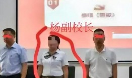 深圳杨某爆料最新新闻事件,最新事件引发社会关注