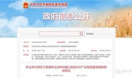 搜索新闻爆料农村生活,揭秘乡村振兴下的美好变迁