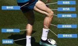 模特爆料被c罗骗了吗视频,视频曝光惊人内幕