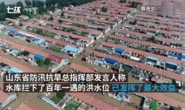 寿光爆料新闻,聚焦民生热点，揭示社会现象