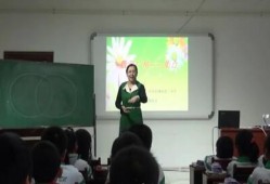 数学陈老师爆料视频播放,数学视频播放背后的惊人数据
