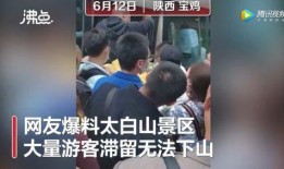 爆料陕西老乔是谁呀视频,视频爆料背后的神秘人物