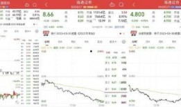 海通国际最新爆料,揭秘行业动态与市场趋势