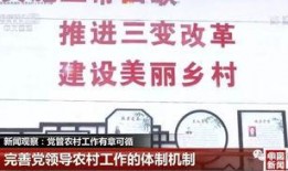 搜索新闻爆料农村生活,揭秘乡村振兴下的美好变迁