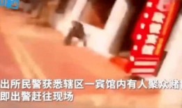 深圳杨某爆料最新新闻事件,最新事件引发社会关注