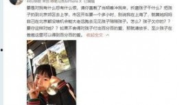 陈小妮前夫爆料视频,揭秘婚姻内幕与情感纠葛