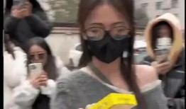 吃瓜韩娱乐,揭秘娱乐圈背后的故事与热点事件