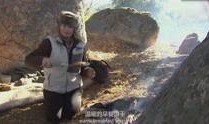 野外求生爆料视频大全在线观看,揭秘热门爆料视频大全