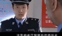 咱们的派出所在线观看,线上视角下的派出所工作全景展示
