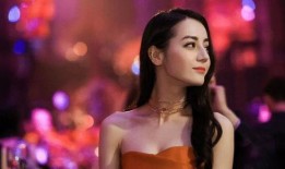 赵柯被爆料家暴视频,真相与反思