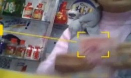 网友爆料小猪打火机视频,小猪打火机视频引发热议