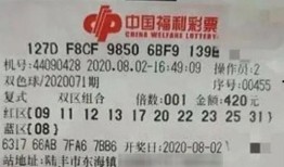 深圳沙井李先生最新爆料,揭秘某事件背后真相