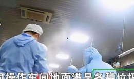 配餐爆料视频下载,视频爆料带你探秘后厨操作
