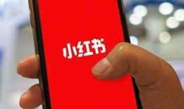 小红书爆料网红事件视频,揭秘小红书热门爆料背后的真相