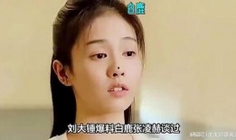 刘大锤爆料娱乐圈永远,刘大锤独家爆料，内幕大公开！