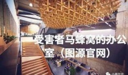 马蜂窝爆料视频,行业乱象背后的真相