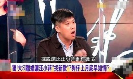 汪小菲各种爆料视频,揭秘豪门背后的真实故事
