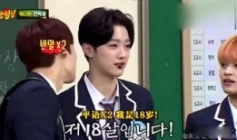 娱乐吃瓜姐姐小说,揭秘娱乐圈背后的秘密与八卦