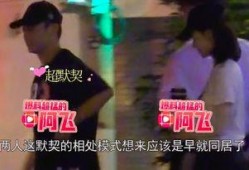 郑恺收入爆料视频最新,最新爆料视频揭示惊人收入真相