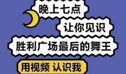 娱乐解说爆料文案大全,独家爆料文案大全大揭秘