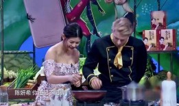 关于爆料家人的视频,视频爆料事件引发的伦理争议