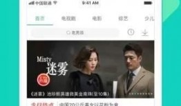 网红石头爆料视频大全下载,揭秘幕后真相与热门话题