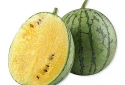 qq网红吃瓜猛料黄料,QQ网红吃瓜猛料，黄料事件引发热议