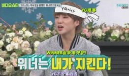 社长最新爆料新闻,最新爆料新闻背后的惊人真相