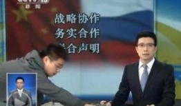 央视新闻爆料王冕视频播放,真相令人震惊
