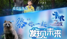 成功之城大结局爆料视频,揭秘大结局震撼揭秘，悬念揭晓！